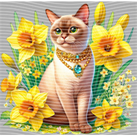 Animal Integration-DW 1917